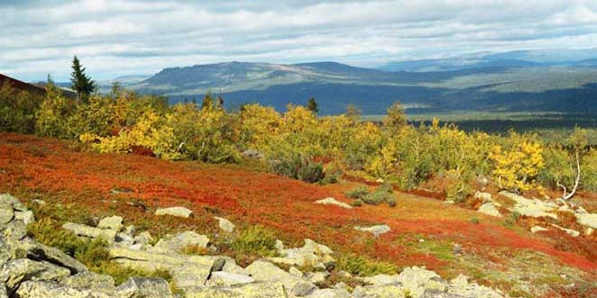 Вишерский заповедник Пермский край